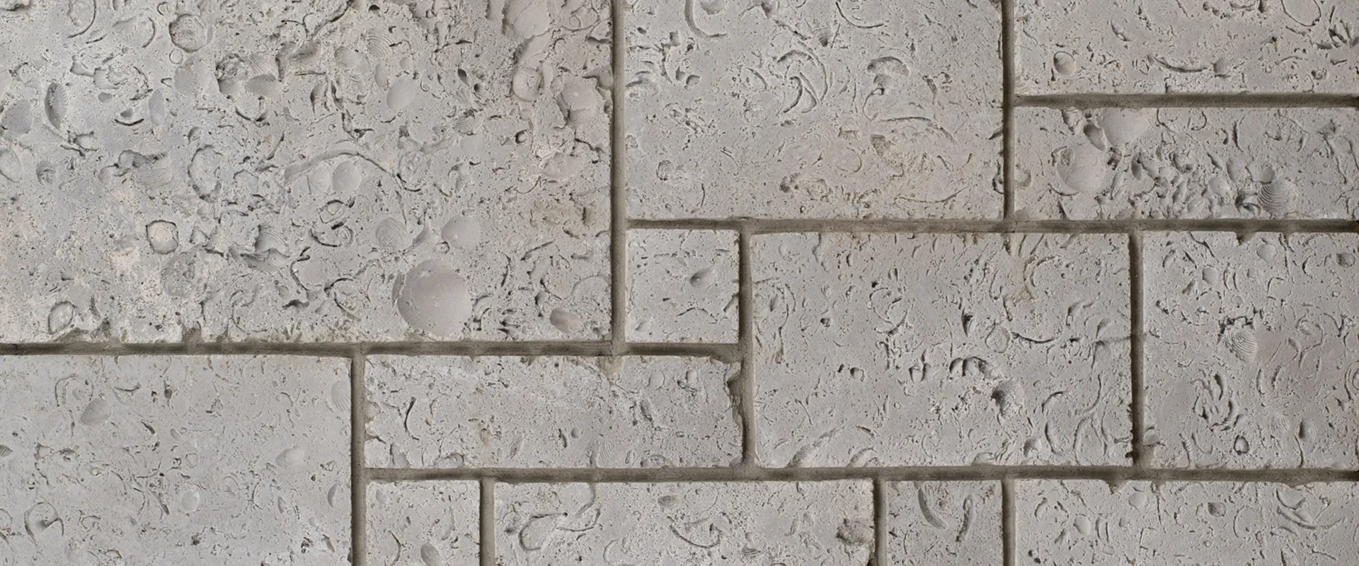 Veracruz Gray